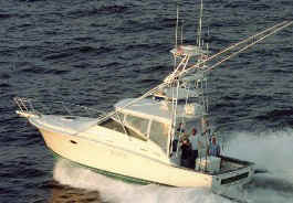 Final Justice Fishing Charters.jpg (27908 bytes)