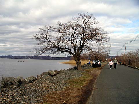 Piermont3.jpg (42960 bytes)