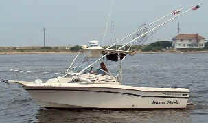Sandy Hook Fishing Adventures.jpg (24668 bytes)