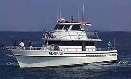 Tampa_vii.jpg (10109 bytes)