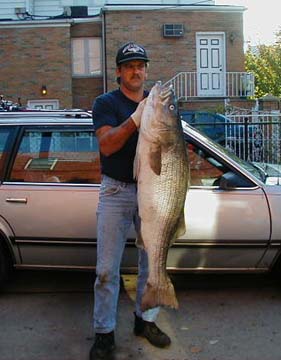 basscar22.jpg (20462 bytes)