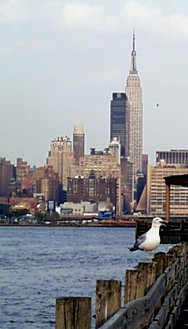 charthouse4.jpg (83093 bytes)