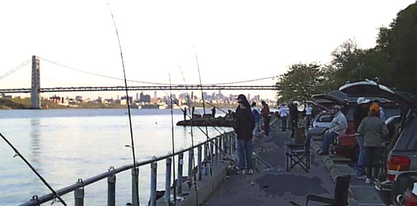 friday 1.jpg (27675 bytes)